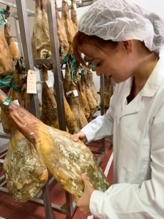 "Luz Y Jamón" Cortadora de Jamón